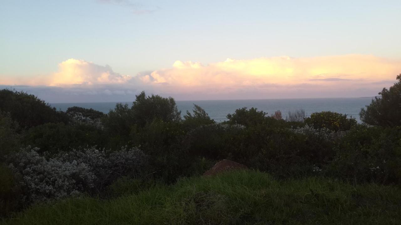 Eden Guesthouse B&B Dana Bay Dış mekan fotoğraf